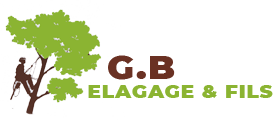 elagage-g-b-elagage-fils